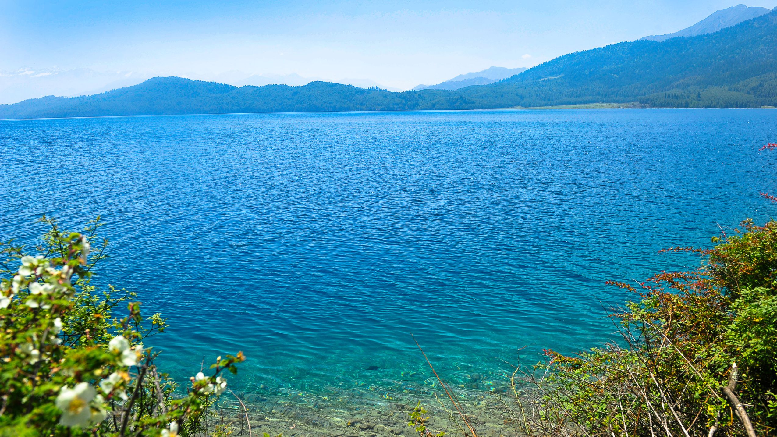 Rara Lake