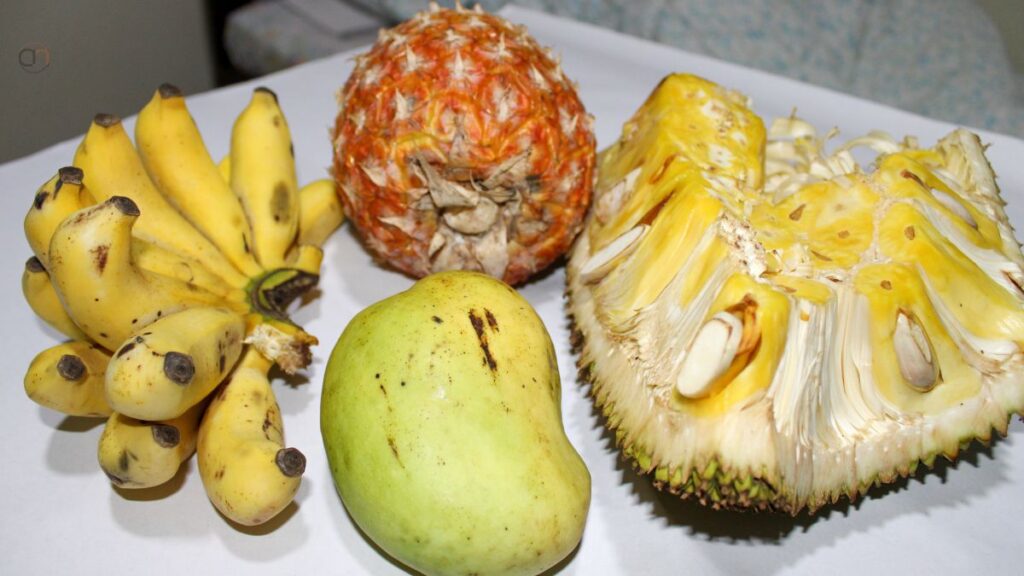 Narsingdi Famous Fruit