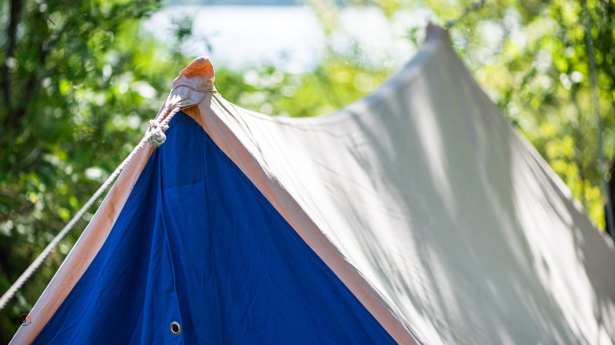 Tent or Shelter