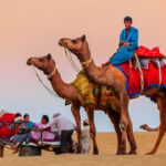 Top Tourist Destinations In Rajasthan