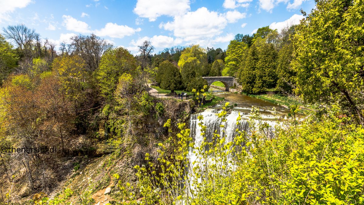 Webster’s Falls