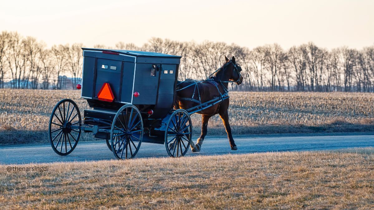 Amish Country