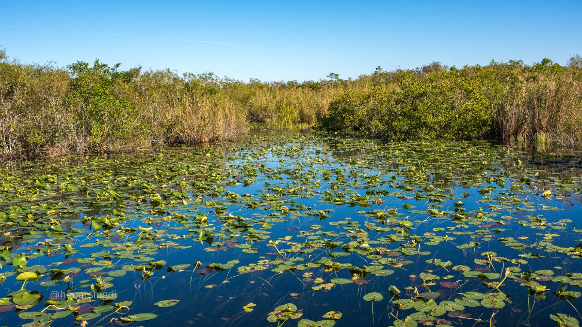 Everglades National Park