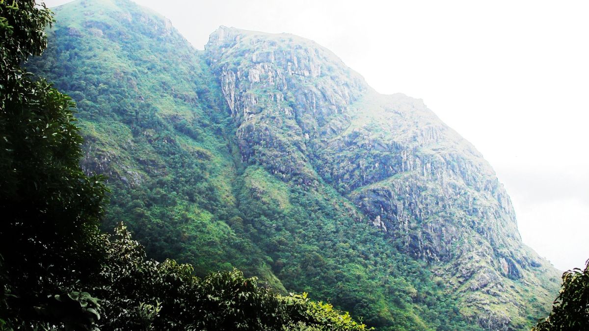 Nilgiri Hills