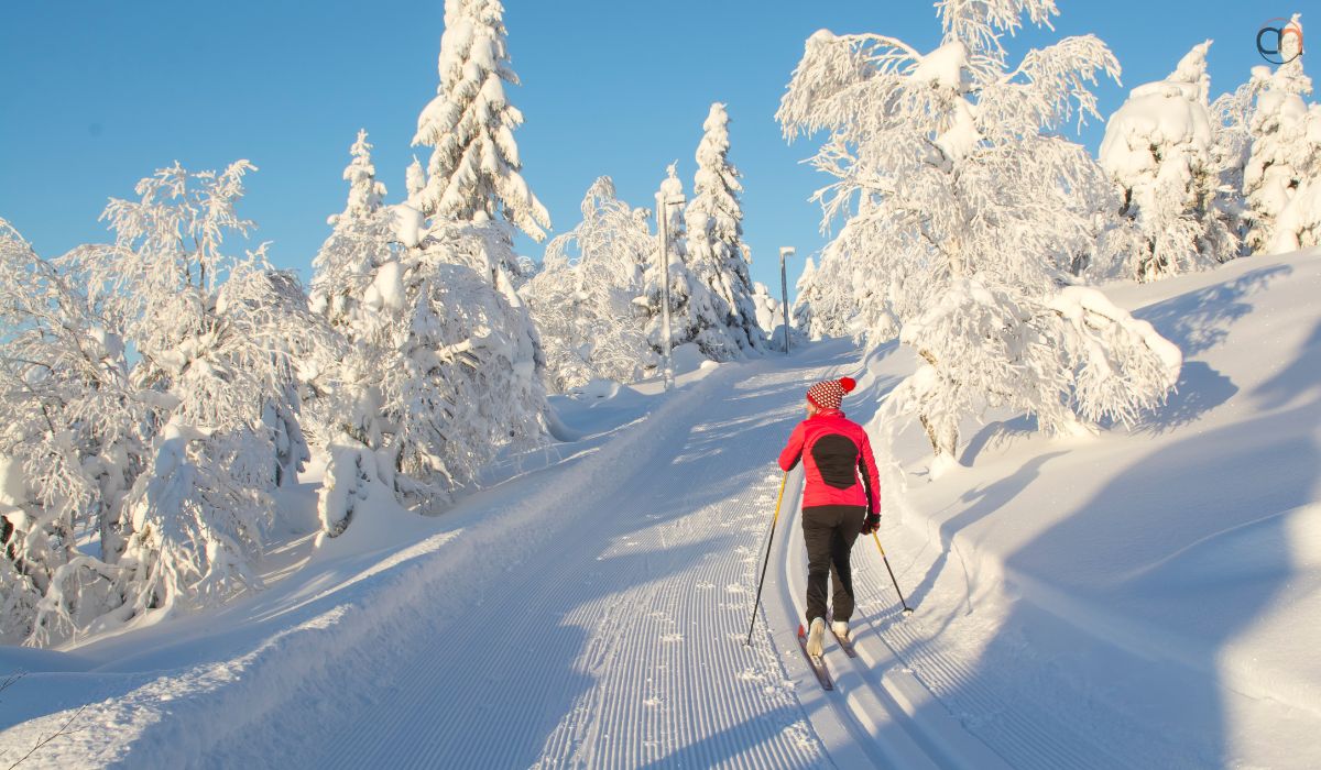 Enjoy Cross-Country Skiing