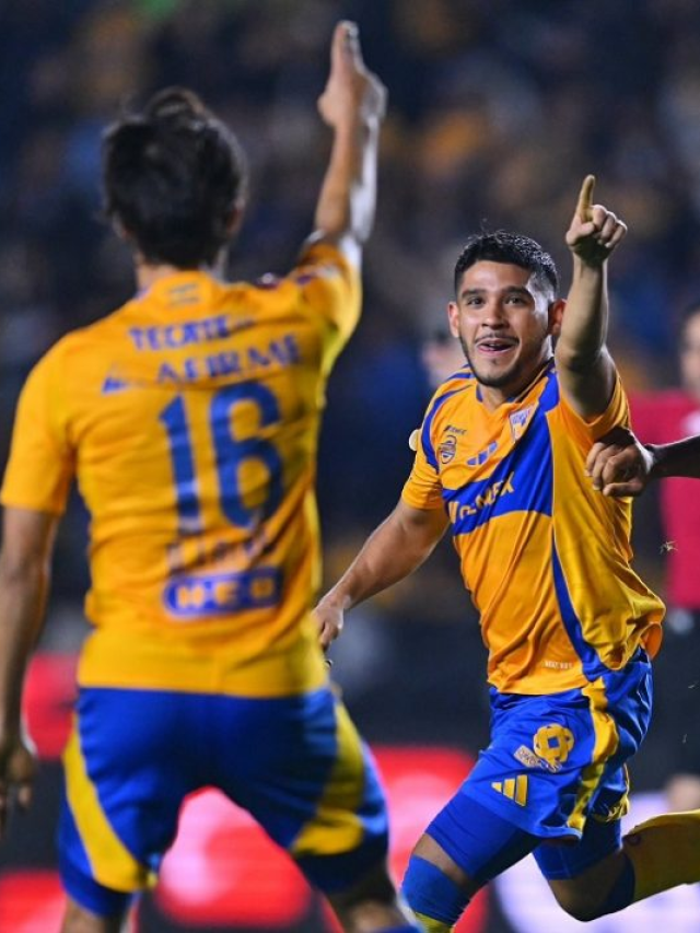 Guadalajara - Tigres